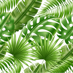 植物无缝印花图片_热带树叶无缝图案异国情调的绿色