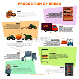 面包生产信息图表，从谷物播种到