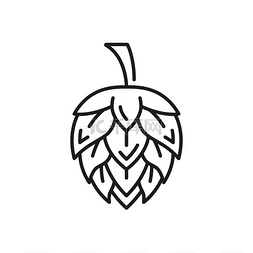 德国标志图片_希望之花植物隔离啤酒成分细线图