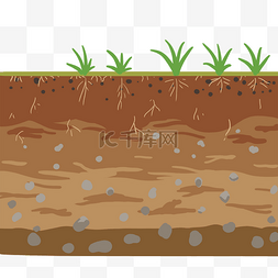 土地征收图片_泥土种植禾苗