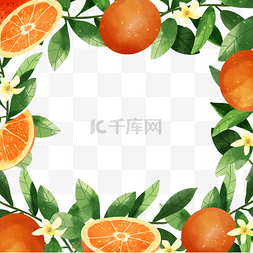 橙子水果水彩花卉边框