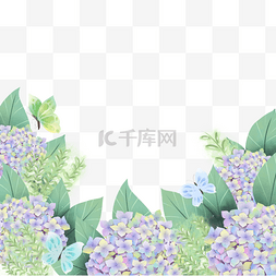 水彩植物花卉图片_绣球花卉水彩植物蝴蝶边框