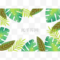 热带植物叶子边框图片_热带植物树叶边框