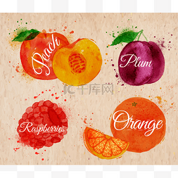 水果水彩桃、 树莓、 李子、 橙色