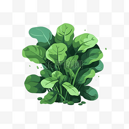 卡通绿叶蔬菜菠菜油菜手绘