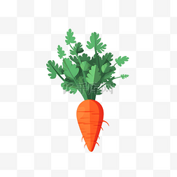 胡萝卜和土图片_卡通蔬菜胡萝卜手绘
