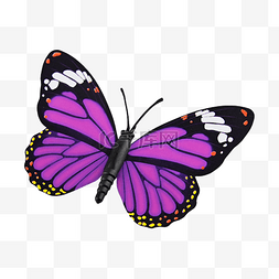 昆虫logo图片_蝴蝶紫色自然