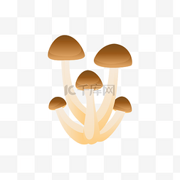 小蘑菇图片_秋天仿真小蘑菇