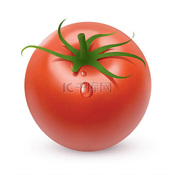 番茄干西红柿干图片_红番茄与滴