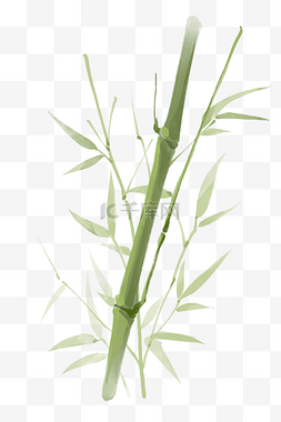 绿色水墨竹子