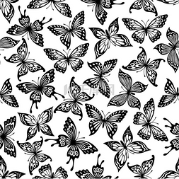 白色蝴蝶翅膀图片_蝴蝶无缝图案与黑色和白色背景的