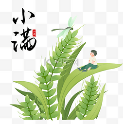 初夏图片_二十四节气小满青色麦穗小男孩