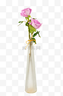 情人节瓶插花紫玫瑰玫瑰花