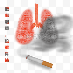 禁止吸烟肺部危害