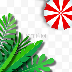 夏季绿色龟背竹叶子