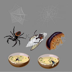 卡通手绘昆虫图片_苍蝇、 蜘蛛、 腐烂的食物和昆虫