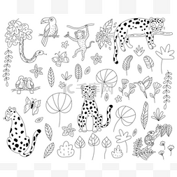 花卉黑白手绘图片_用于给书着色的一组丛林动物。手