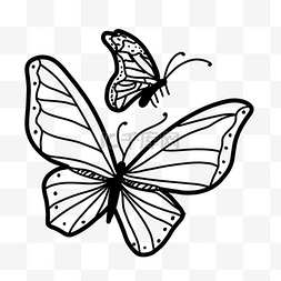 手绘素描黑白线条图片_两只飞翔的线稿蝴蝶