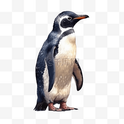 qq红企鹅图片_卡通手绘北极动物企鹅
