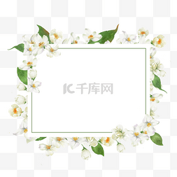 茉莉花边框白色水彩花卉