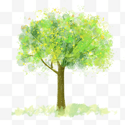 春天植物树木图片_春天一棵绿色大树