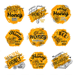 蜂蜜模板图片_亲爱的素描标志。