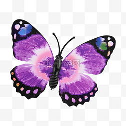 昆虫logo图片_蝴蝶紫色塑料饰品