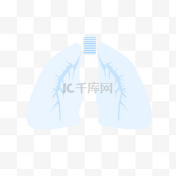 人体五脏之一器官肺部