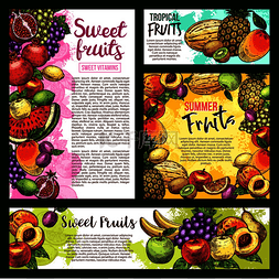 水果苹果图片_带有新鲜热带和花园浆果框架的水