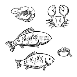新鲜分离的鱼、虾、海蟹和带咸鲑