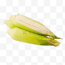 玉米图片_白玉米糯玉米