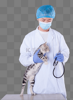 宠物医生看病猫听诊器