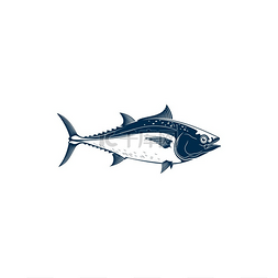 地中海食物图片_蓝鳍金枪鱼、黑鳍长尾黄鳍金枪鱼