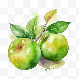 卡通手绘水果青苹果