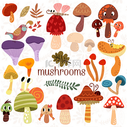 蘑菇菌图片_蘑菇集