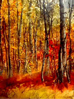 高耸图片_秋季的树林