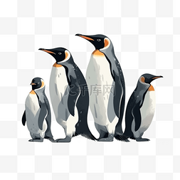 企鹅卡通扁平动物素材