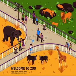 等距动物园插图与室外动物园花园