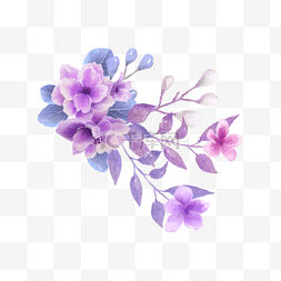 紫花植物图片_紫色紫罗兰花卉剪贴画粉紫