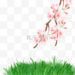 手绘樱花图片_草丛上的粉色樱花
