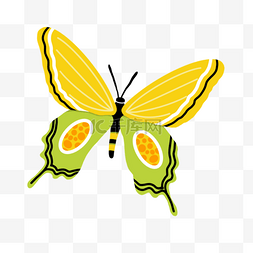 昆虫logo图片_带花边的多彩蝴蝶