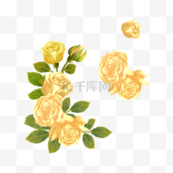 黄色水彩花卉玫瑰花叶