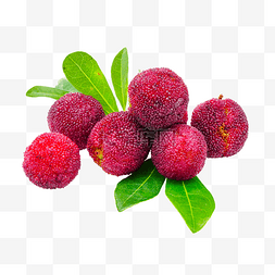 红色水果图片_杨梅水果美食