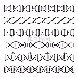 螳螂结构图片_螺旋螺旋染色体结构概念水平螺旋