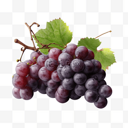 风干葡萄图片_卡通手绘水果葡萄