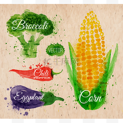 起雾图标图片_蔬菜水彩画玉米、 花椰菜、 红辣