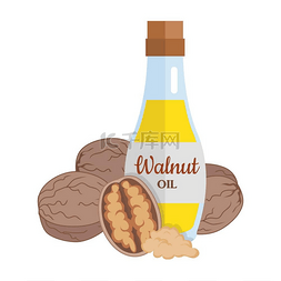 核桃的图片_Walnut Kernels with Walnut Oil.. 核桃仁配