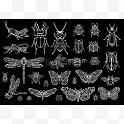 蝴蝶剪影图片_大手画线的昆虫虫, 甲虫, 蜜蜂, 蝴