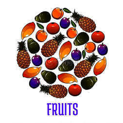 圆形的新鲜水果图标。