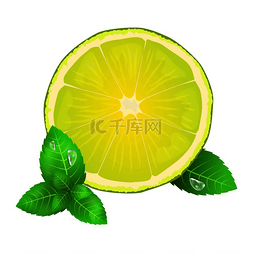 柠檬水滴图片_多汁的柠檬或酸橙和薄荷的绿叶与